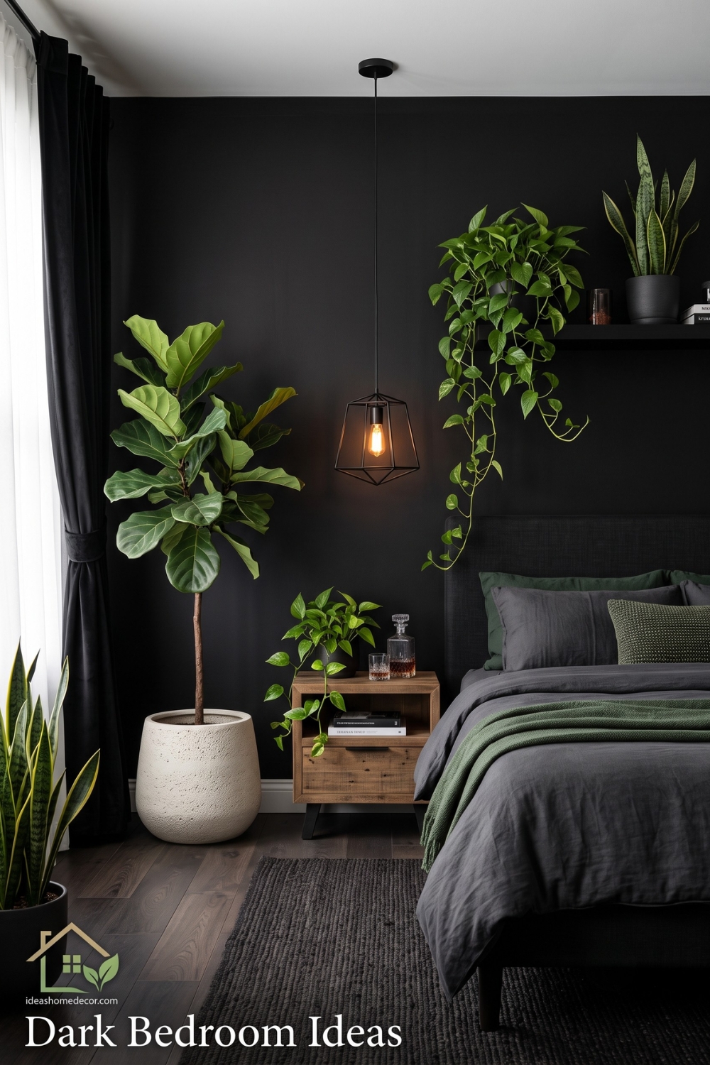 Black Bedroom Ideas: Using Plants to Keep Black Rooms Alive
