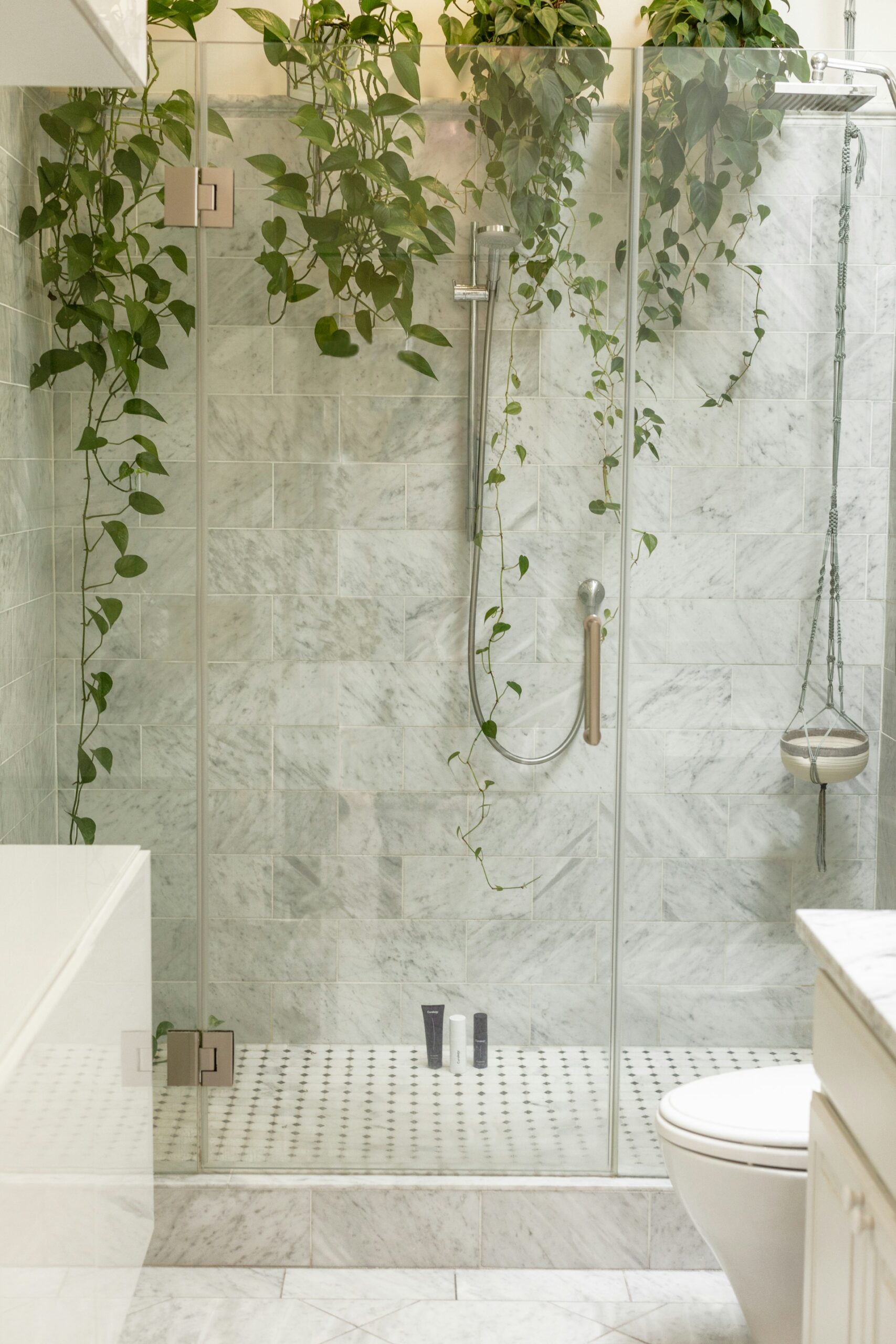 bathroom-decor-ideas Plants and Nature